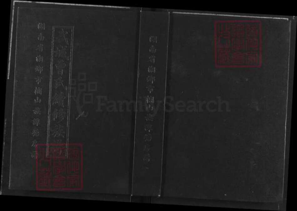 湖南省湘潭市湘乡市潭市镇曾氏仁让堂族谱-武城曾氏续修族谱.湖南湘乡市榔山族谭塘房谱.pdf电子版缩略图