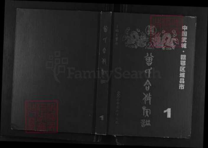 江西省吉安市永丰县曾氏族谱-中国武城,赣鄂区域县市.曾氏合修族谱.pdf电子版缩略图