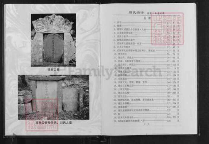 江西省吉安市永丰县曾氏族谱-中国武城,赣鄂区域县市.曾氏合修族谱.pdf电子版预览图1