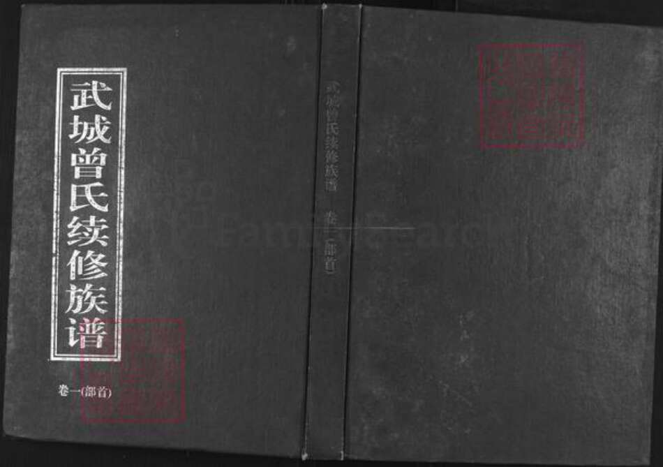 江西省赣州市大余县曾氏武城堂族谱-武城曾氏续修族谱.pdf电子版缩略图