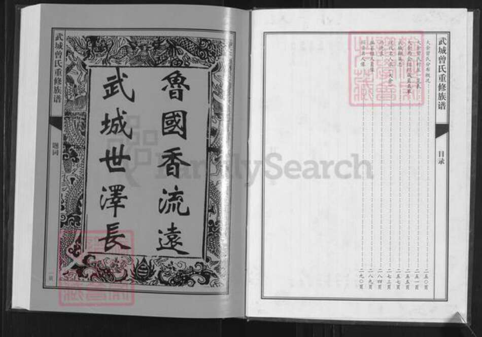 江西省赣州市大余县曾氏武城堂族谱-武城曾氏续修族谱.pdf电子版预览图3