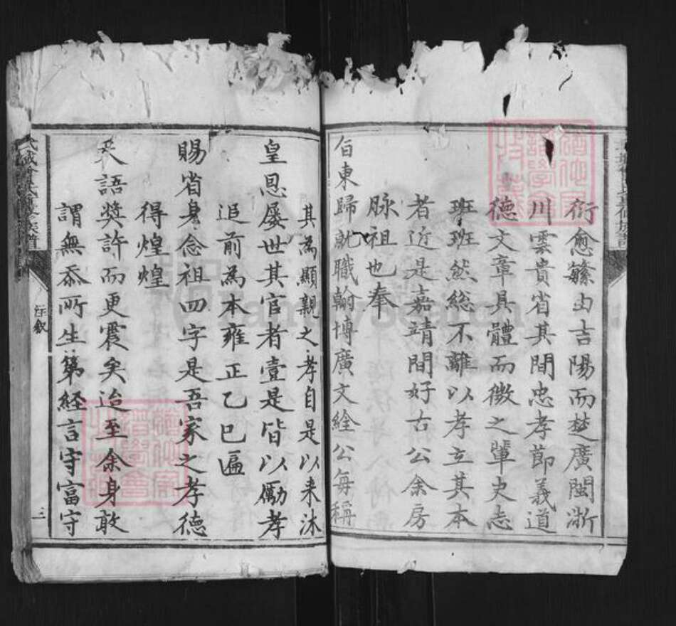 山东省德州市武城县曾氏族谱-武城曾氏重修族谱.pdf电子版预览图3