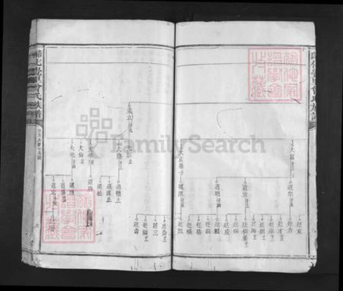 福建省三明市宁化县水茜镇曾氏族谱-归化下觉里曾氏族谱.pdf电子版预览图5