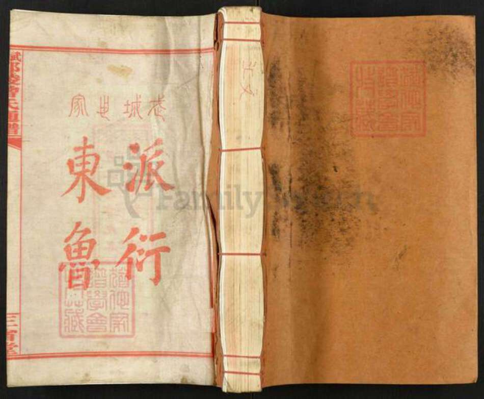 湖南省邵阳市邵东市杨桥镇曾氏三省堂族谱-武城邵陵曾氏通谱.pdf电子版缩略图