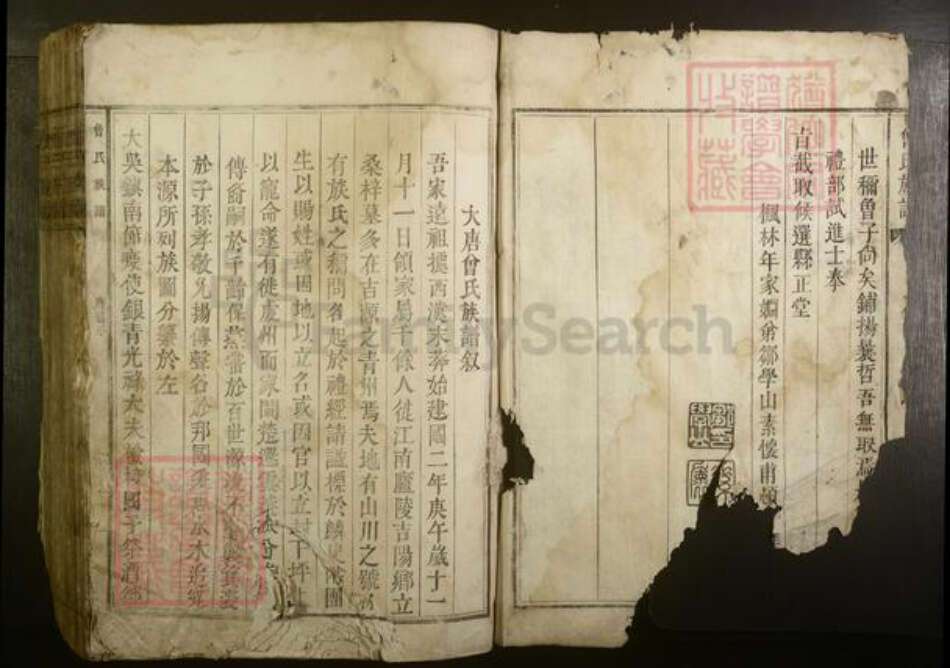 江西省吉安市永丰县曾氏族谱-曾氏族谱 [不分卷].pdf电子版预览图2