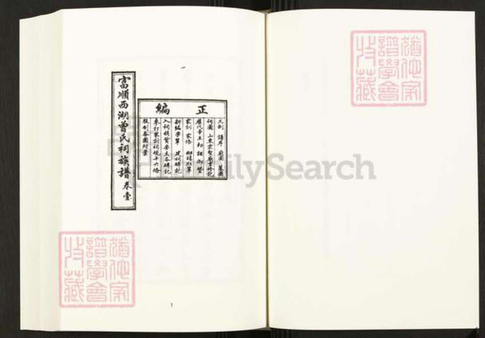 四川省四川省自贡市富顺县曾氏族谱-中国珍稀家谱丛刊.四川家谱.第10~12册.富顺西湖曾氏祠族谱.pdf电子版预览图3