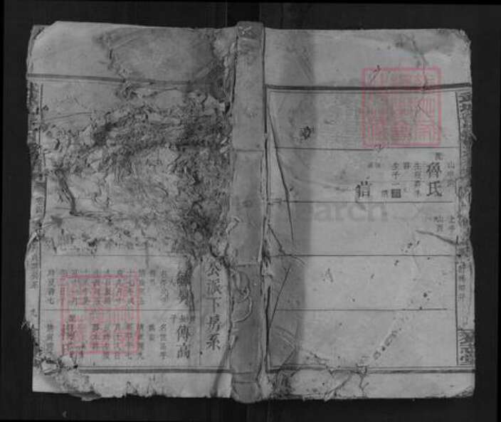 湖南省邵阳市曾氏族谱-武城曾氏四续族谱.pdf电子版缩略图