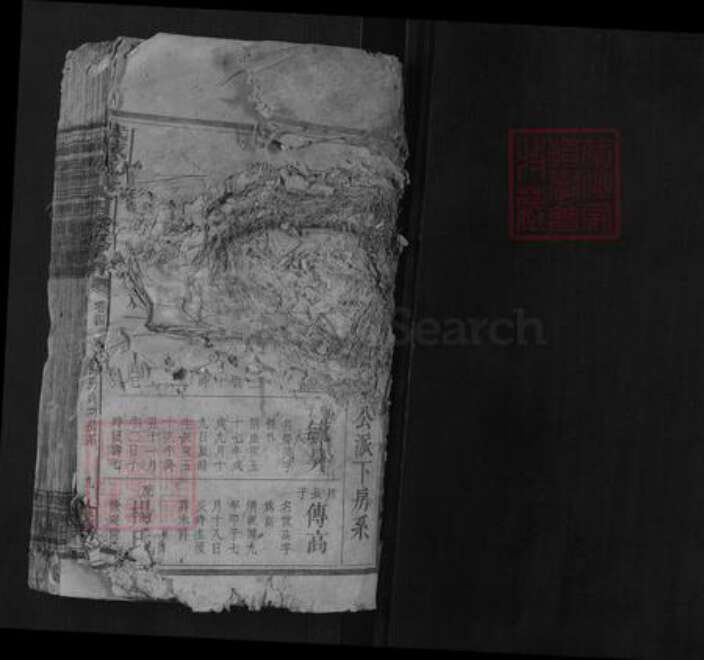 湖南省邵阳市曾氏族谱-武城曾氏四续族谱.pdf电子版预览图1