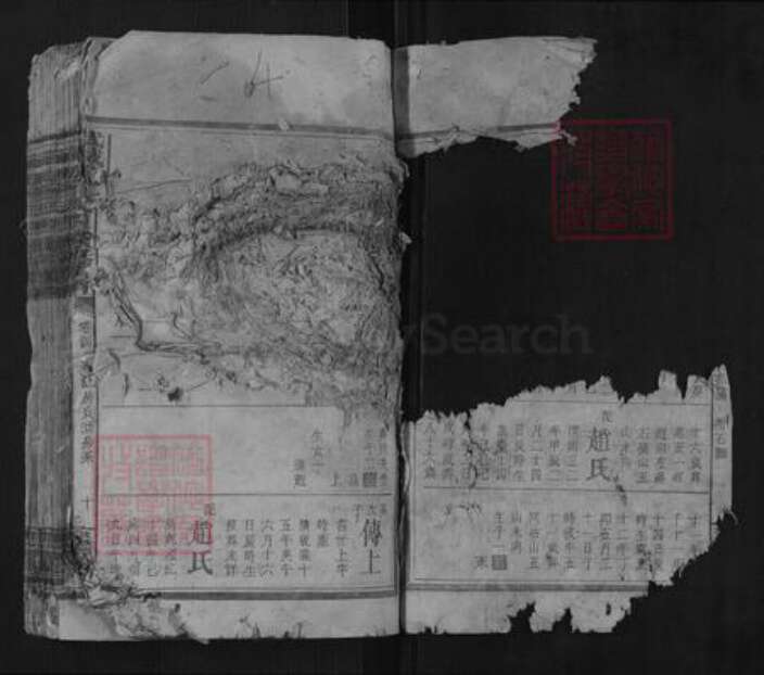 湖南省邵阳市曾氏族谱-武城曾氏四续族谱.pdf电子版预览图2