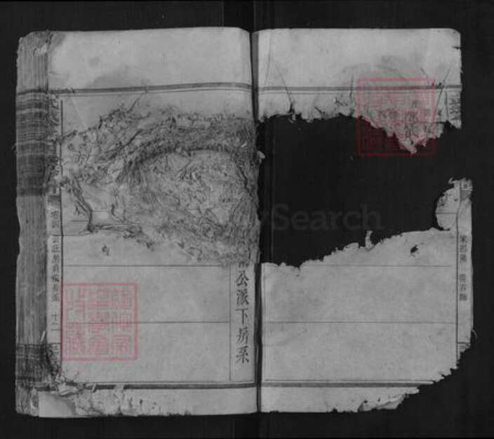 湖南省邵阳市曾氏族谱-武城曾氏四续族谱.pdf电子版预览图4