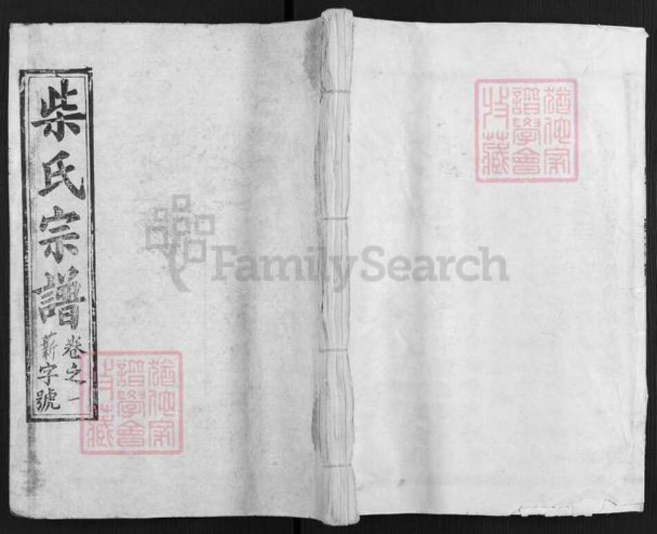 湖北省黄冈市蕲春县大同镇柴氏崇义堂族谱-柴氏宗谱.pdf电子版缩略图