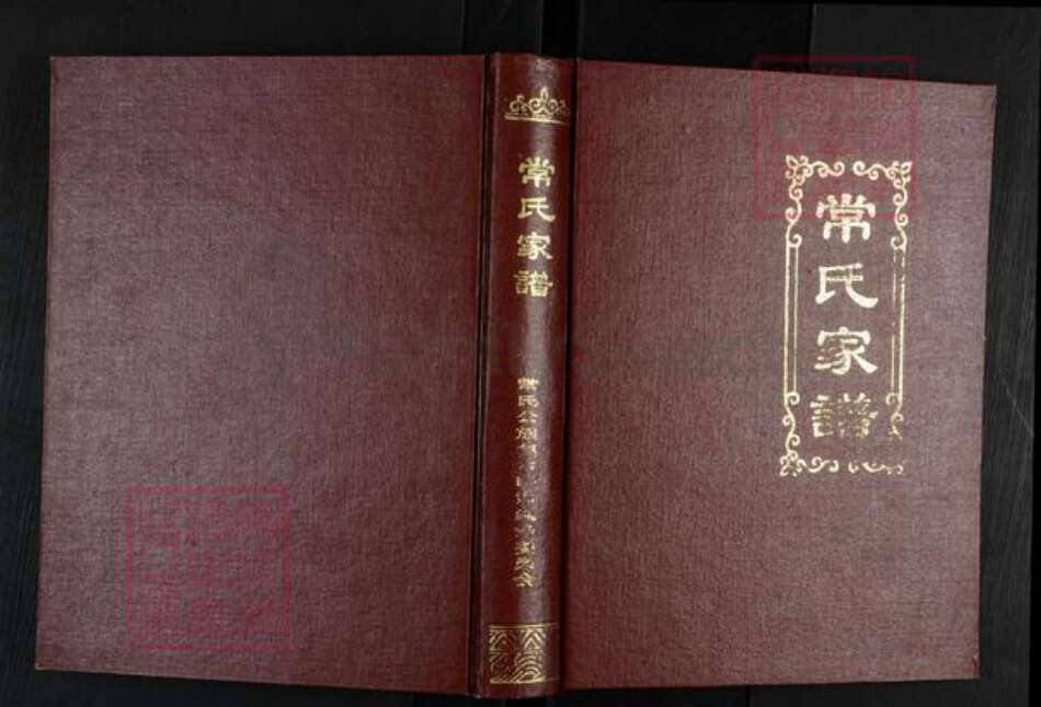 云南省昭通市镇雄县常氏忠武堂族谱-常氏家谱.pdf电子版缩略图