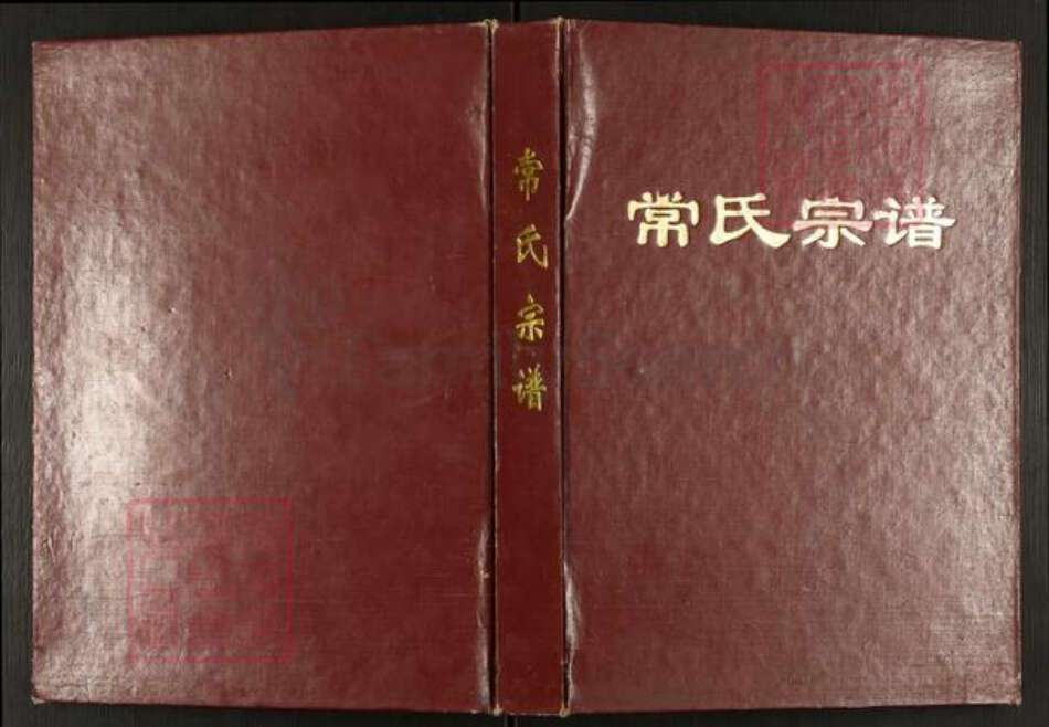 江苏省盐城市阜宁县东沟镇常氏族谱-江苏阜宁常氏宗谱.pdf电子版