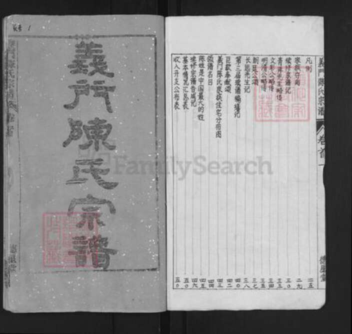 湖北省武汉市新洲区陈氏德星堂族谱-义门陈氏宗谱.pdf电子版预览图2