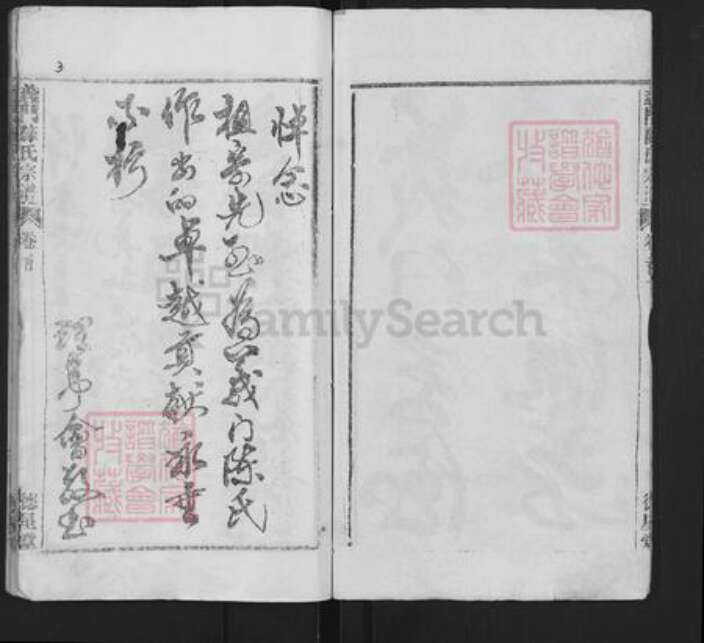 湖北省武汉市新洲区陈氏德星堂族谱-义门陈氏宗谱.pdf电子版预览图4