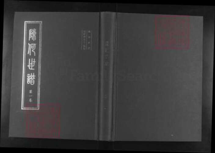 山东省淄博市桓台县新城镇陈氏族谱-陈何世谱.pdf电子版缩略图