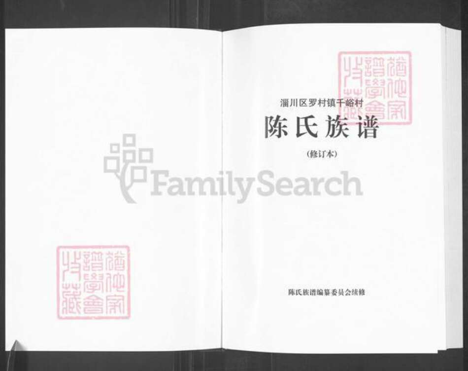 山东省淄博市淄川区陈氏颍川堂族谱-盐城陈氏宗谱.pdf电子版预览图1