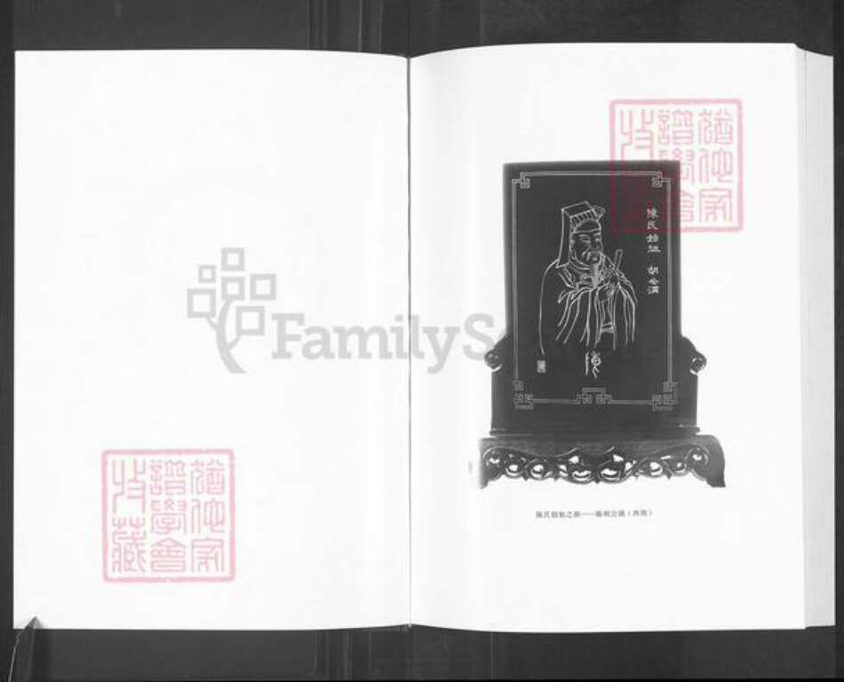 山东省淄博市淄川区陈氏颍川堂族谱-盐城陈氏宗谱.pdf电子版预览图3