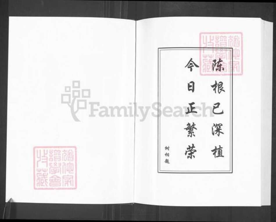 山东省淄博市淄川区陈氏颍川堂族谱-盐城陈氏宗谱.pdf电子版预览图4