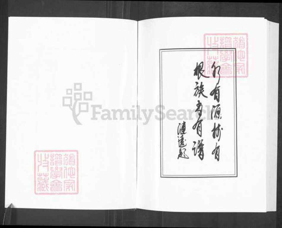 山东省淄博市淄川区陈氏颍川堂族谱-盐城陈氏宗谱.pdf电子版预览图5