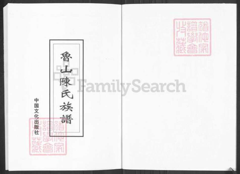 山东省淄博市淄川区陈氏族谱-山东淄博鲁山陈氏族谱.pdf电子版预览图2