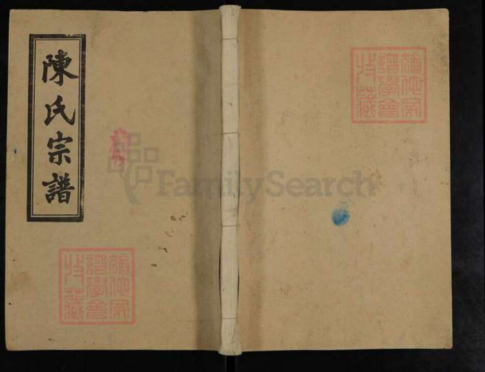 湖南省长沙市浏阳市张坊镇陈氏族谱-陈氏宗谱.pdf电子版缩略图