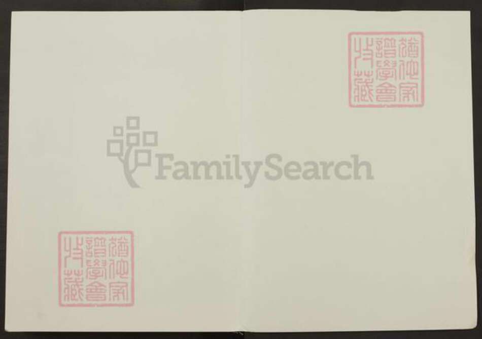 江苏省盐城市建湖县上冈镇陈氏颍川堂族谱-陈氏宗谱.pdf电子版预览图1