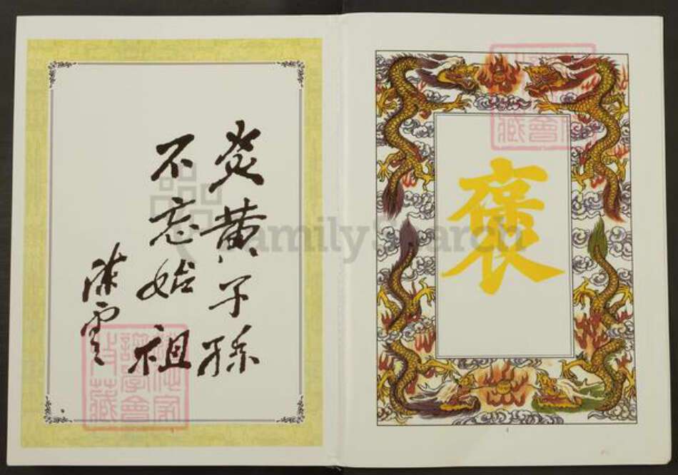 江苏省盐城市建湖县上冈镇陈氏颍川堂族谱-陈氏宗谱.pdf电子版预览图4