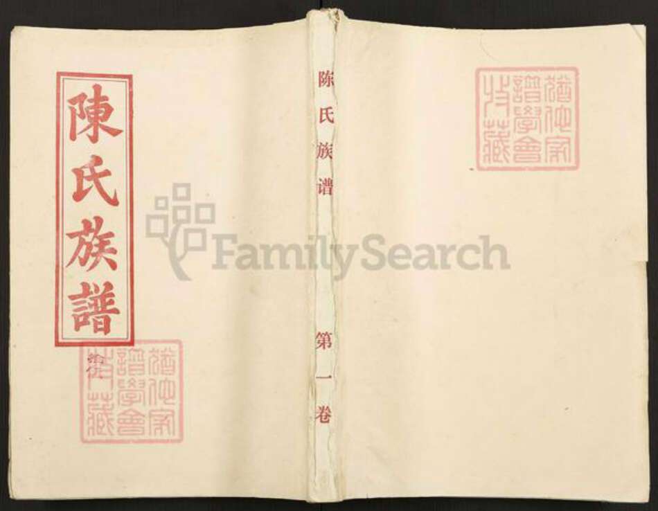 湖南省郴州市永兴县陈氏颖川堂族谱-陈氏族谱.pdf电子版缩略图