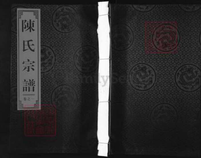 浙江省丽水市缙云县五云街道陈氏族谱-五云玉岩陈氏宗谱.pdf电子版缩略图