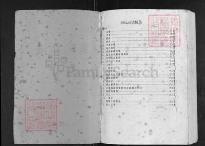 湖南省永州市蓝山县塔峰镇陈氏族谱-陈氏族谱.pdf电子版预览图1