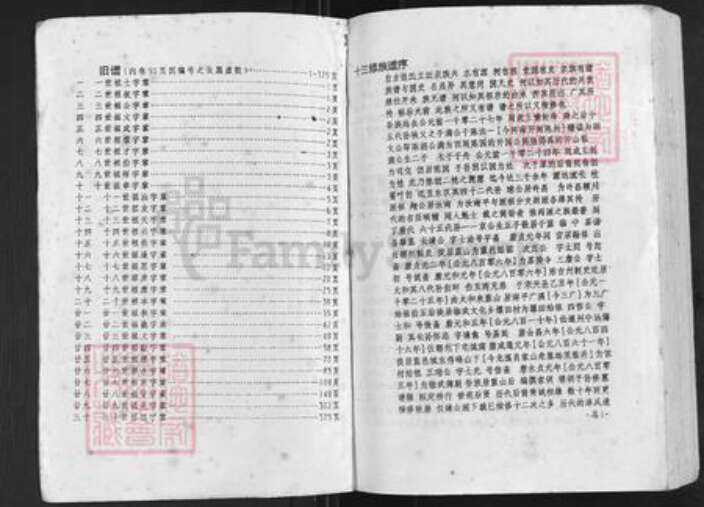 湖南省永州市蓝山县塔峰镇陈氏族谱-陈氏族谱.pdf电子版预览图2