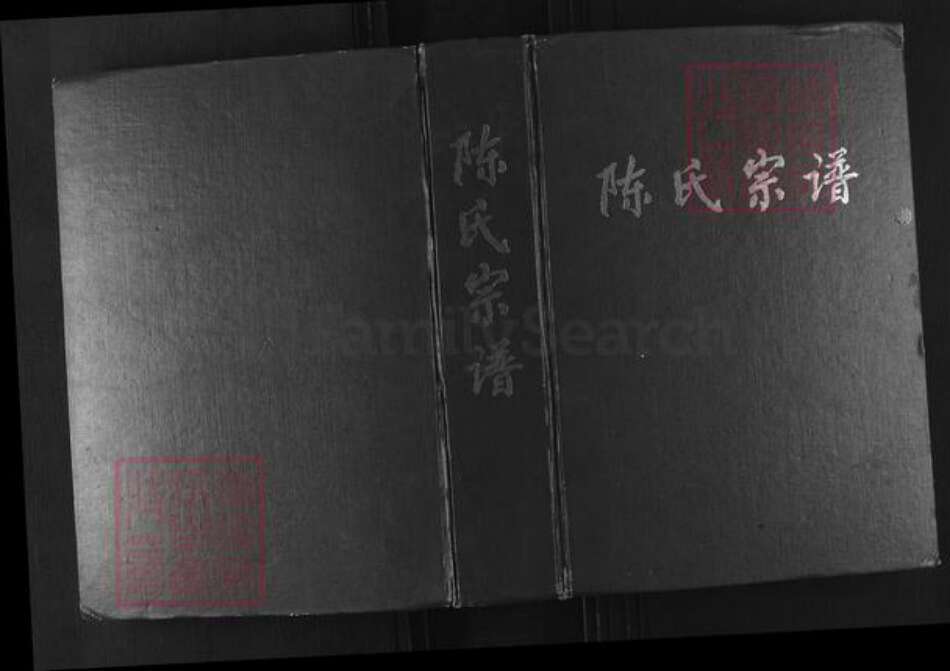江苏省盐城市滨海县正红镇陈氏颍川堂族谱-陈氏宗谱.pdf电子版缩略图