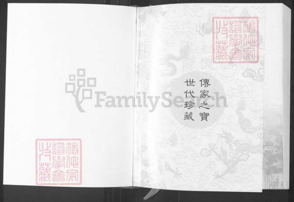 江苏省盐城市建湖县庆丰镇陈氏颖川堂族谱-陈氏宗谱.pdf电子版预览图1