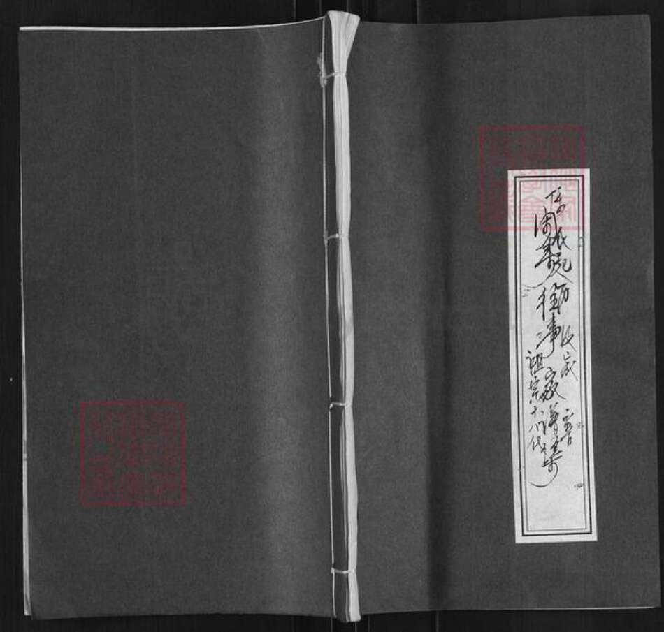 江苏省盐城市亭湖区陈氏族谱-闲来往事家谱集.pdf电子版缩略图