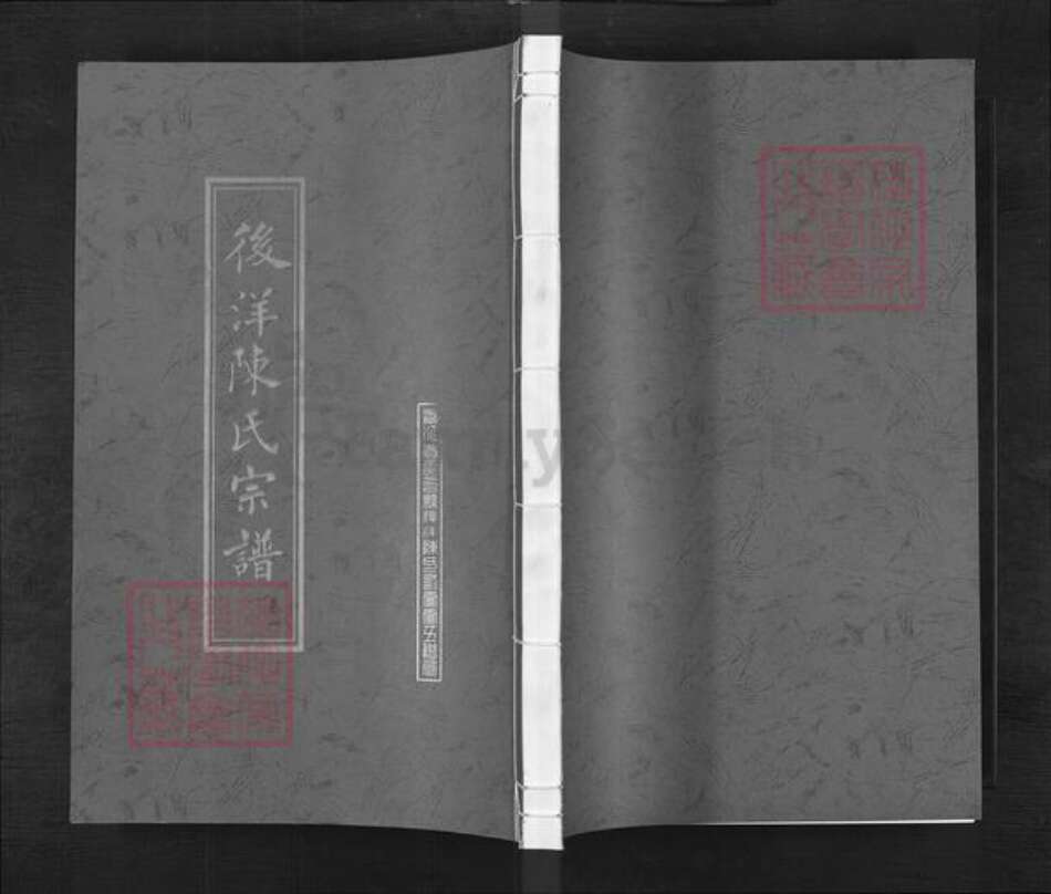 浙江省台州市天台县陈氏族谱-浙江天台后洋陈氏宗谱.pdf电子版缩略图