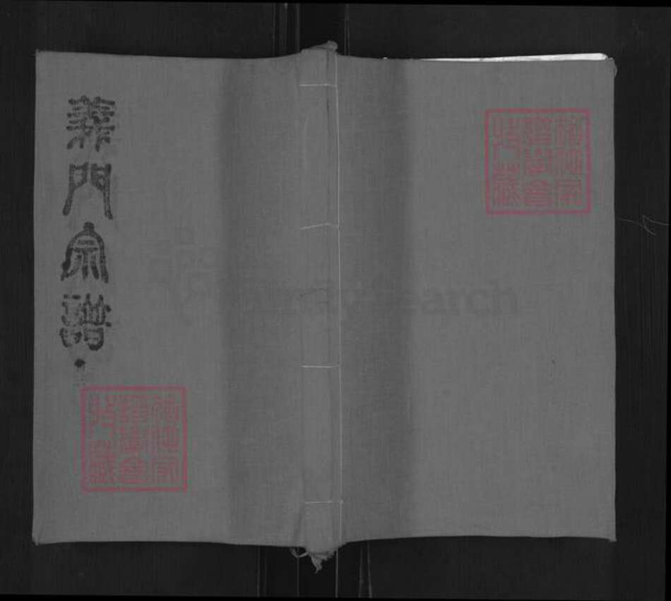 湖北省孝感市大悟县陈氏乐善堂族谱-义门宗谱.pdf电子版缩略图