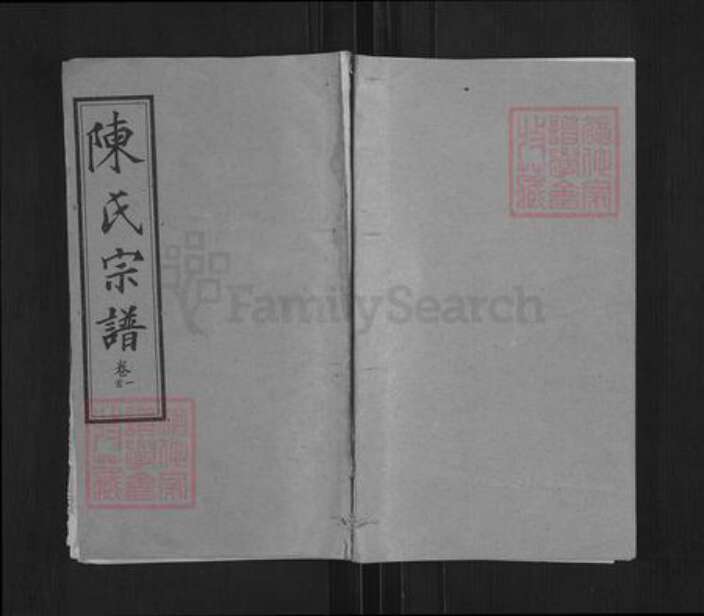 湖北省黄冈市罗田县河铺镇陈氏族谱-陈氏宗谱.pdf电子版缩略图