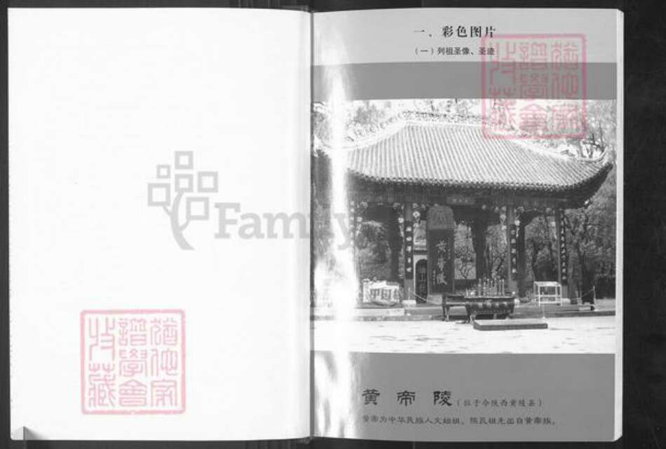 福建省泉州市永春县介福乡陈氏族谱-七修桃源鸣琴陈氏族谱.pdf电子版预览图4