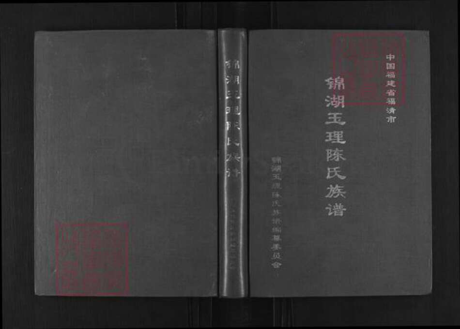 福建省福州市福清市东张镇陈氏族谱-锦湖玉理陈氏族谱.pdf电子版缩略图
