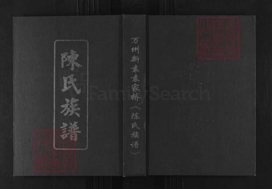 重庆市万州陈氏颍川堂族谱-陈氏族谱.pdf电子版缩略图