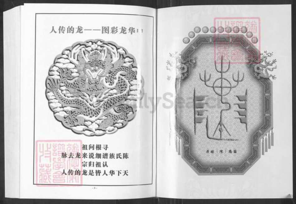 重庆市万州陈氏颍川堂族谱-陈氏族谱.pdf电子版预览图2