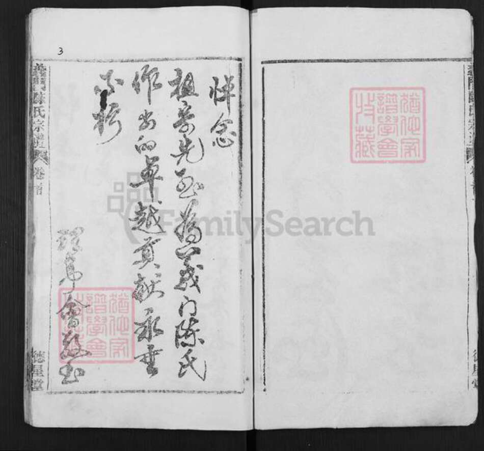 湖北省武汉市新洲区陈氏德星堂族谱-义门陈氏宗谱.pdf电子版预览图4