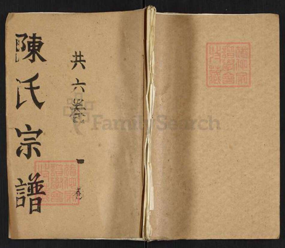 四川省资阳市乐至县天池街道陈氏族谱-陈氏宗谱.pdf电子版缩略图