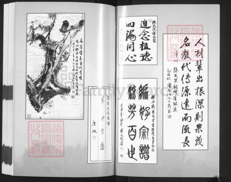 江苏省常州市武进县陈氏余庆堂族谱-陈氏宗谱.pdf电子版预览图2