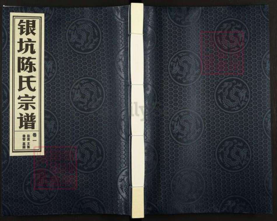 浙江省金华市婺城区陈氏族谱-银坑陈氏宗谱.pdf电子版缩略图