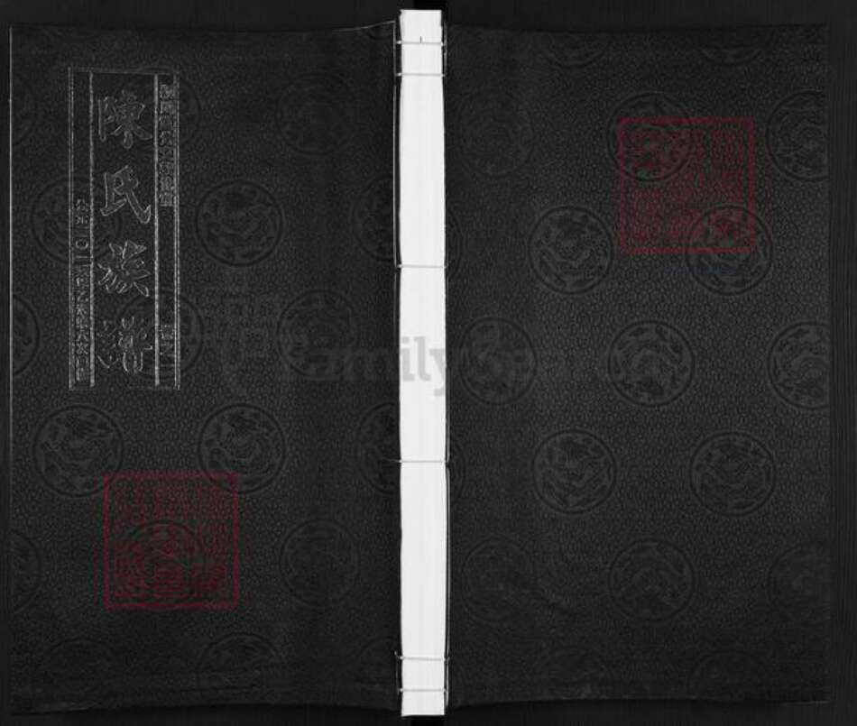 江苏省泰州市泰兴市高港陈氏敦伦堂族谱-陈氏族谱.pdf电子版缩略图