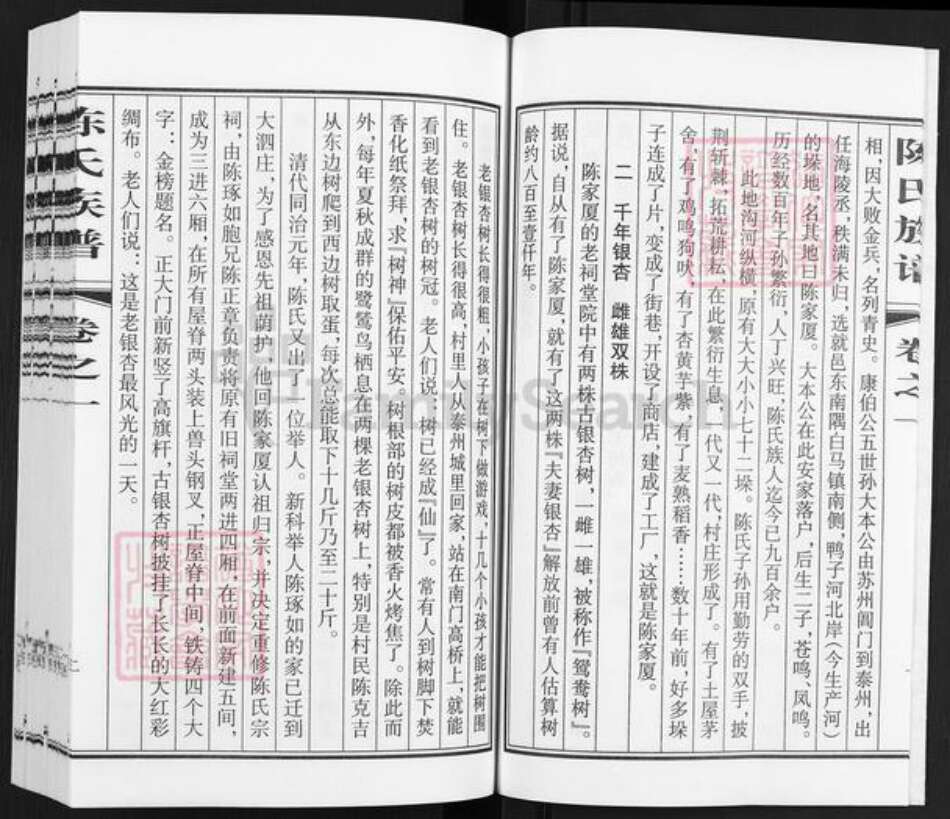 江苏省泰州市泰兴市高港陈氏敦伦堂族谱-陈氏族谱.pdf电子版预览图3