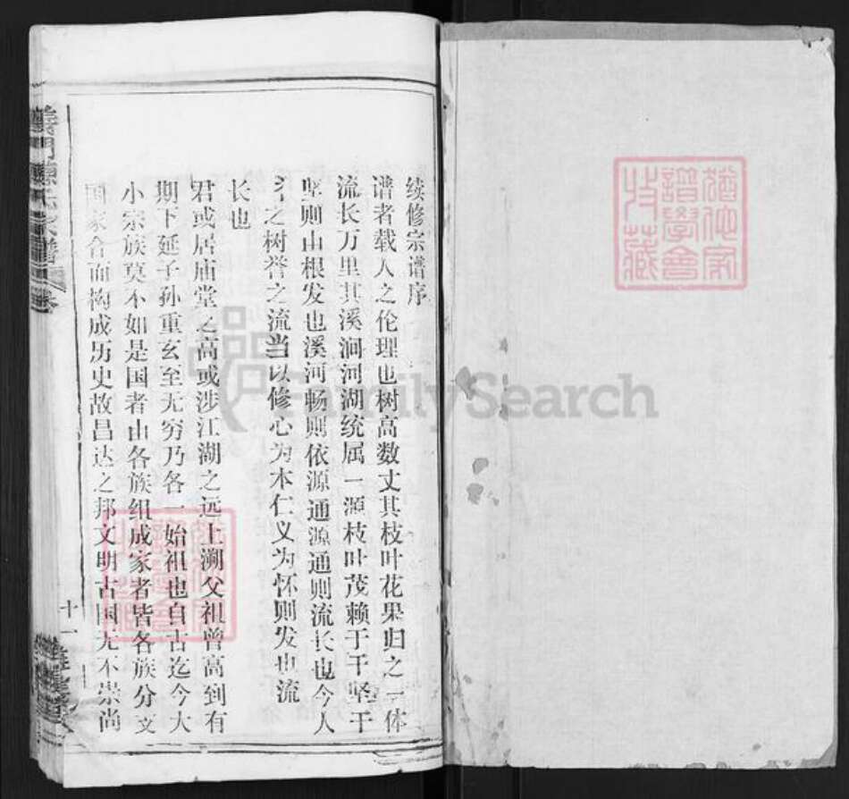 江西省九江市德安县车桥镇陈氏旌义堂族谱-义门陈氏宗谱.pdf电子版预览图1