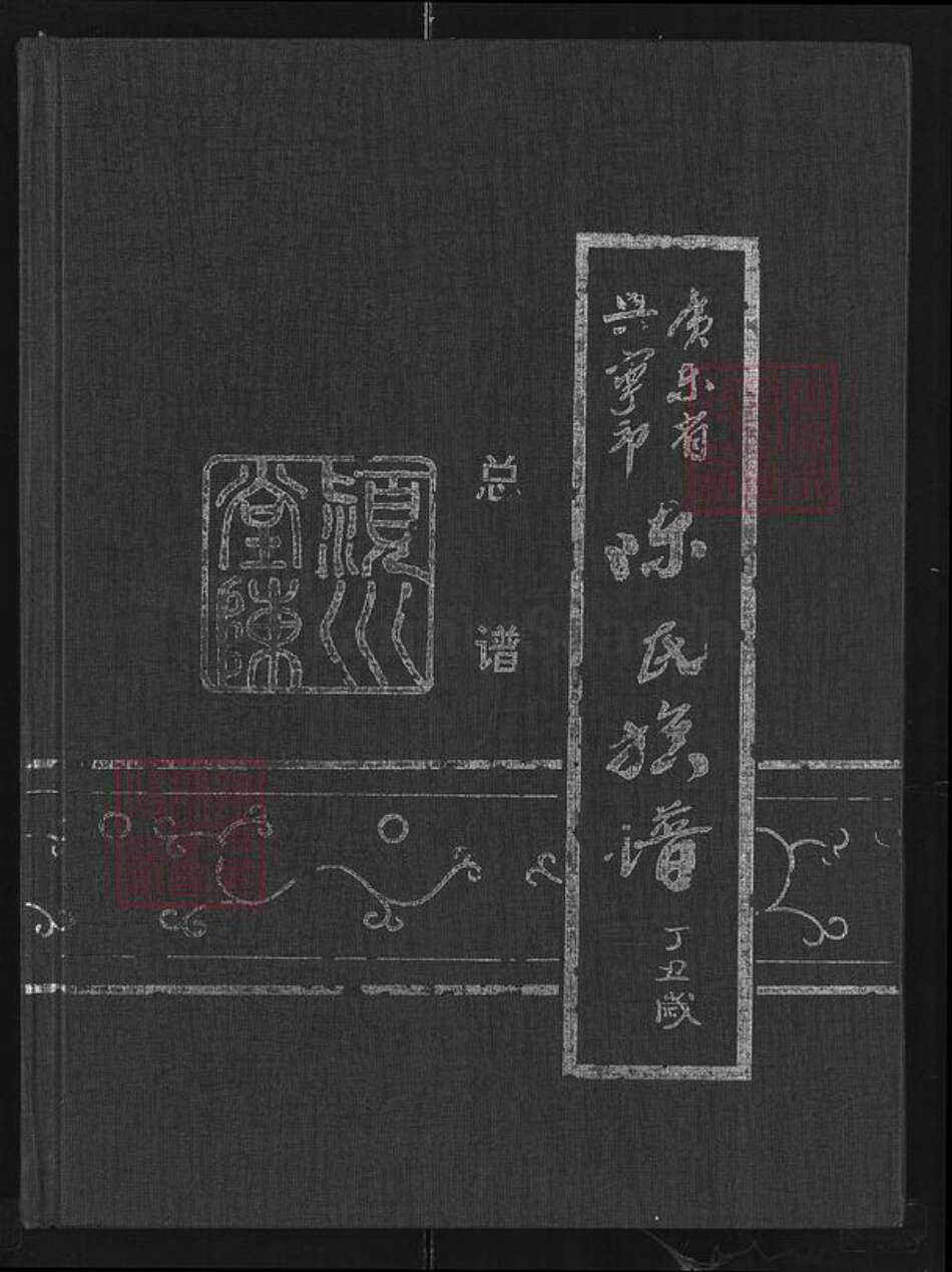 广东省梅州市兴宁市坭陂镇陈氏颖川堂族谱-陈氏族谱.pdf电子版缩略图
